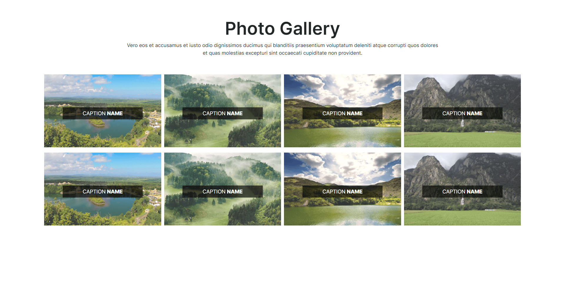 Photo gallery component - 1