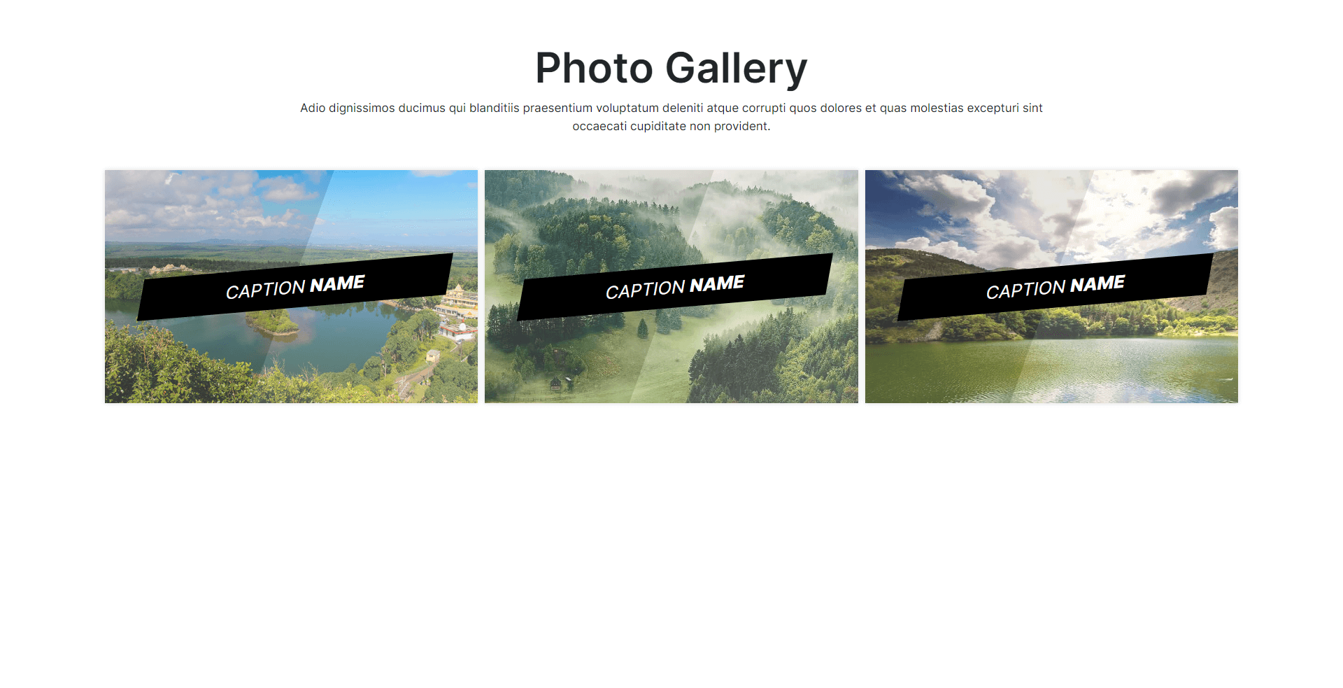 Photo gallary component - 2