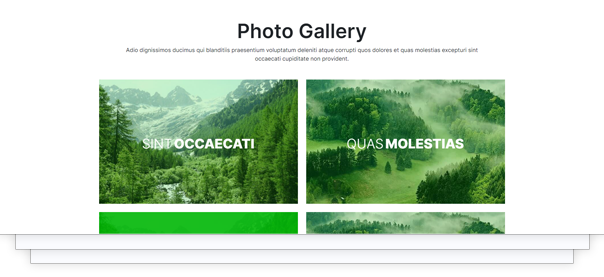 Photo galary components