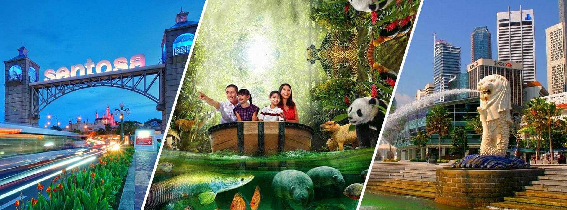 Singapore Tour